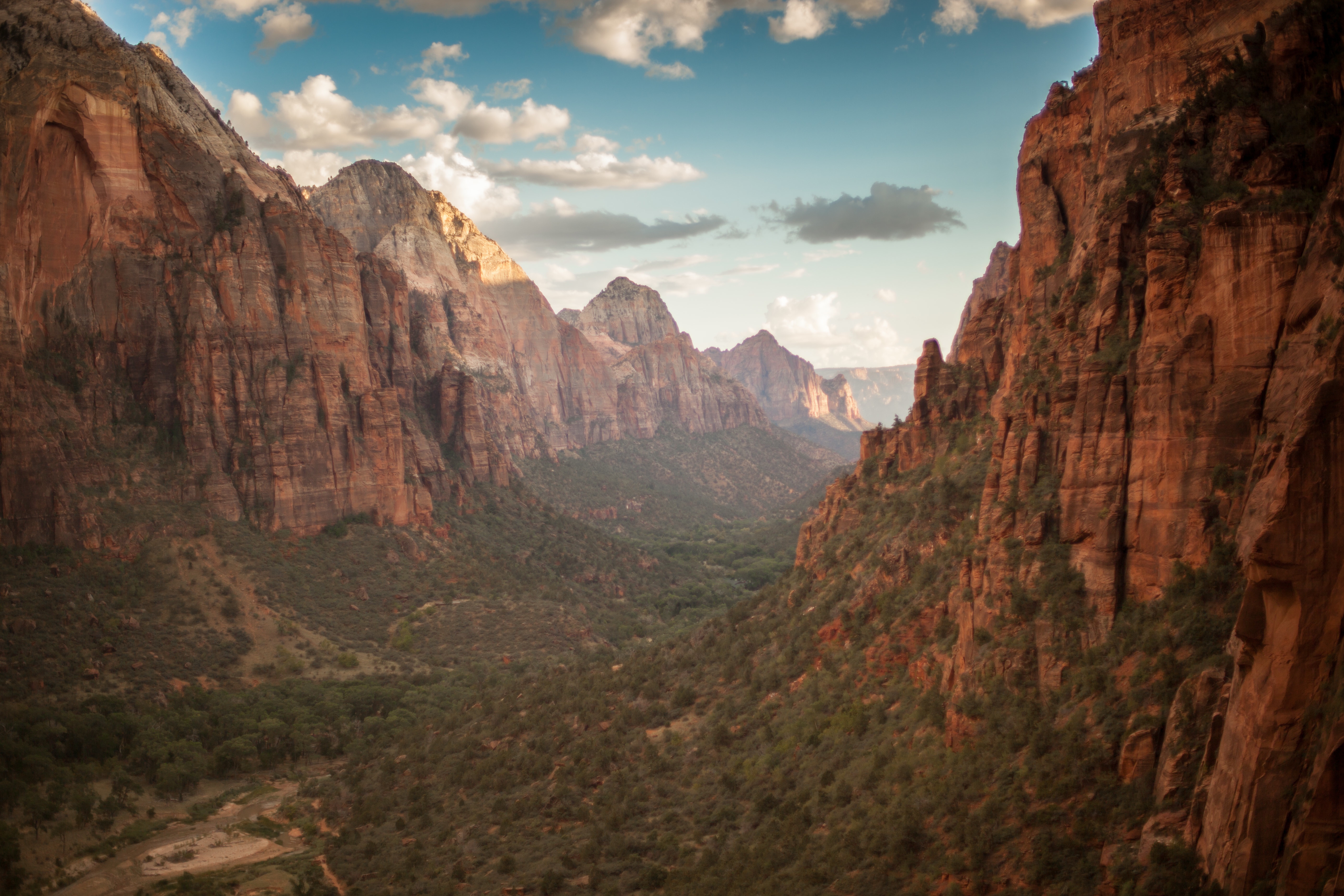 Hazy Zion canyon at sunset. The sky is deep turquoise and the canyon walls are scattered with juniper. They are a deep russet.